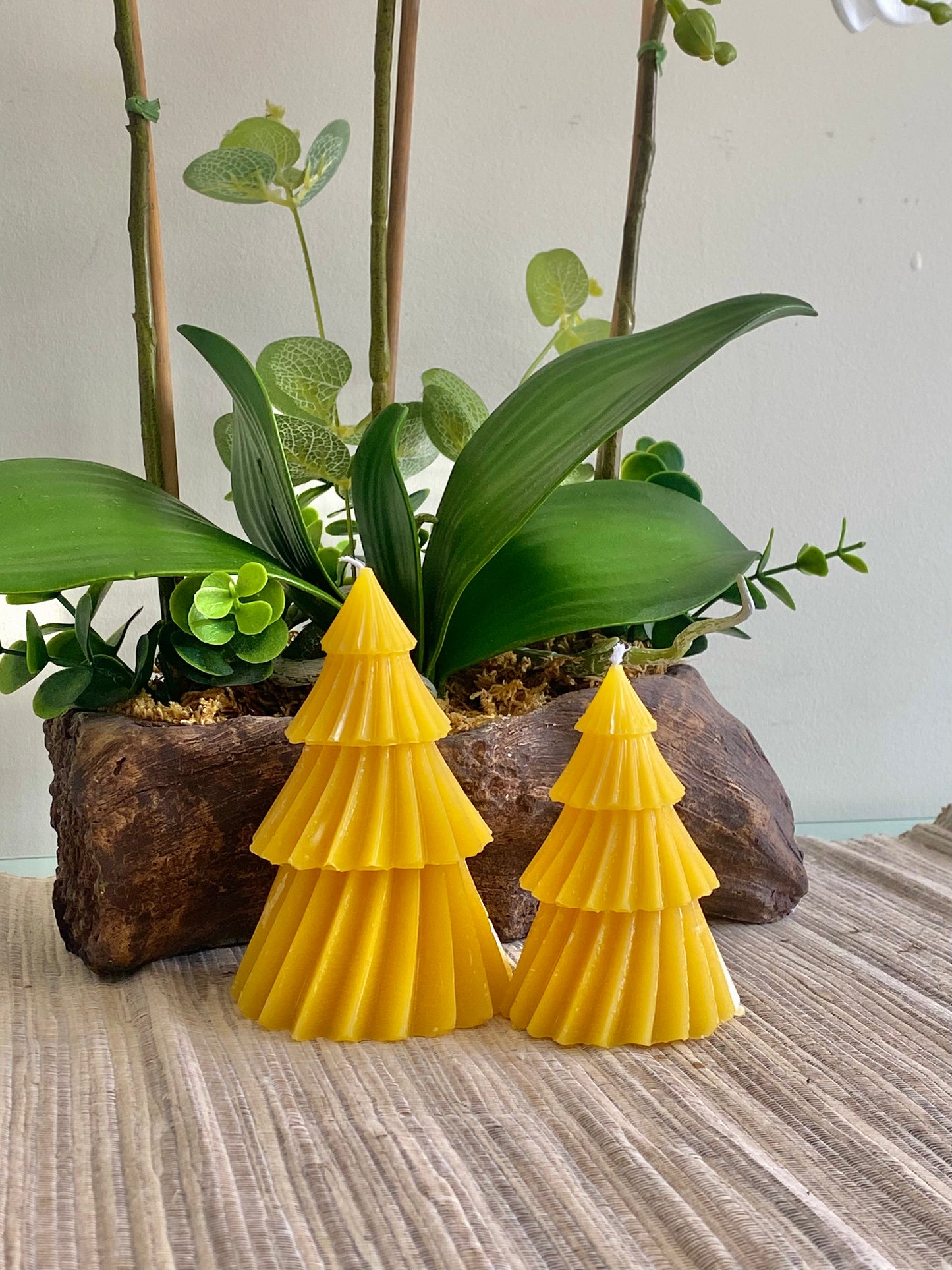 Xmas Tree Candles