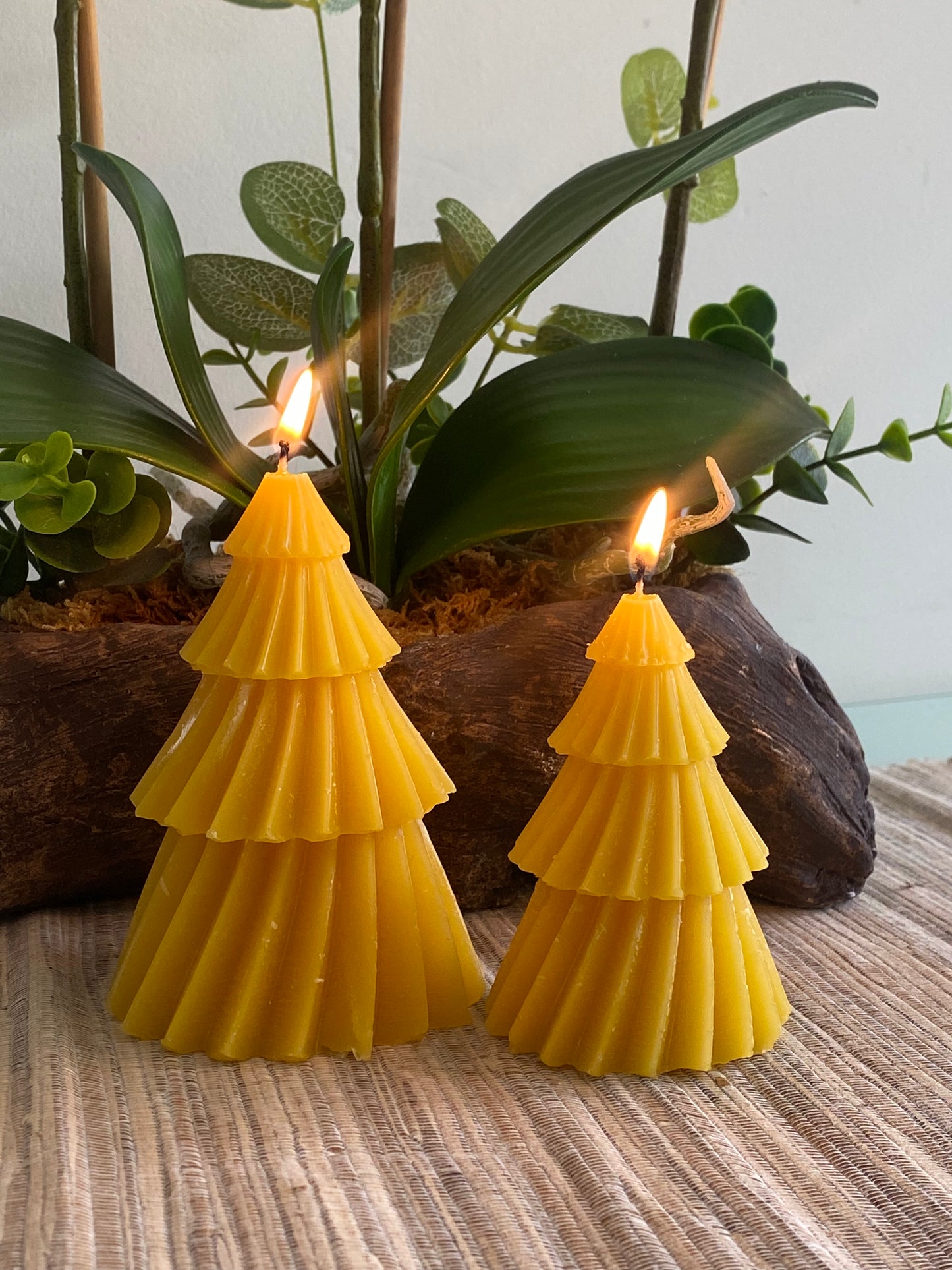 Beeswax Candle (Xmas Tree - Large)