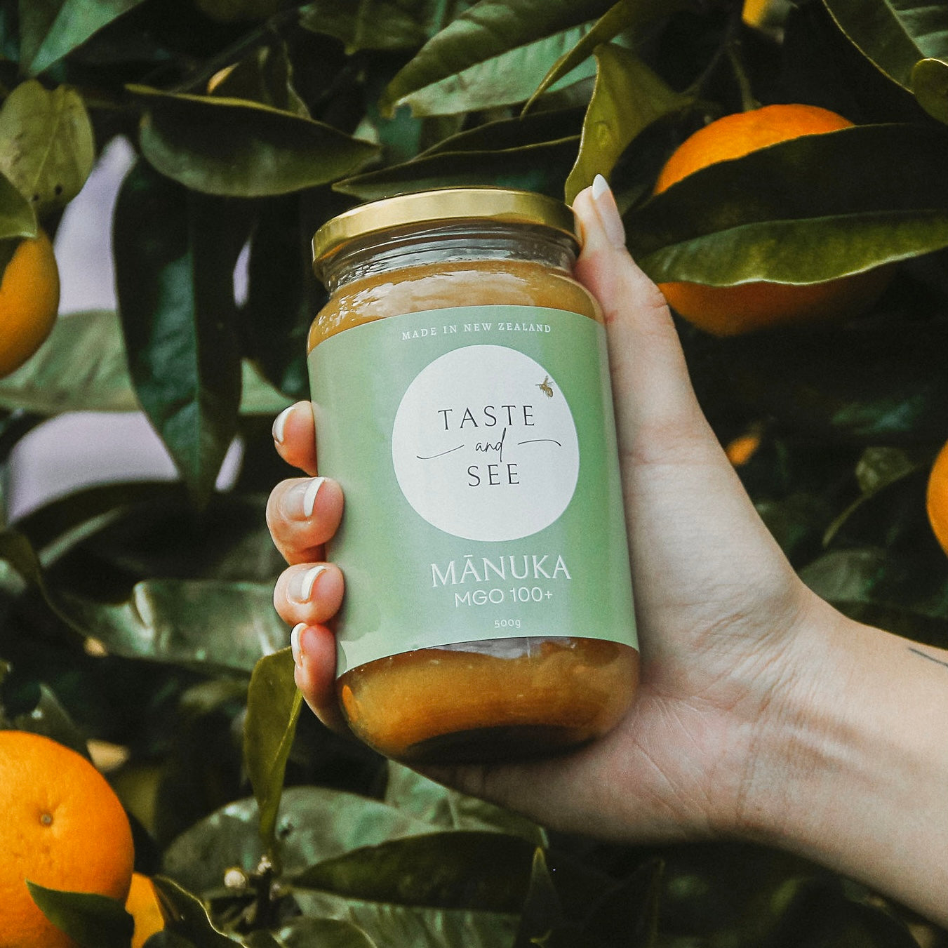 Mānuka Honey MGO 100+